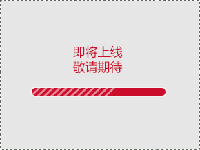 20151216074144961